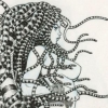 subject child thumbnail