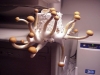 subject child thumbnail